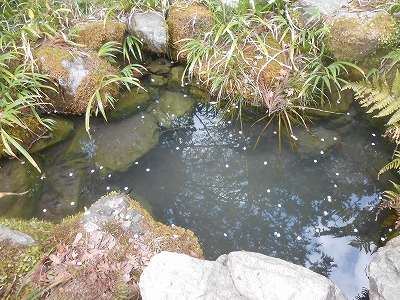 大原野神社　瀬和井の清水