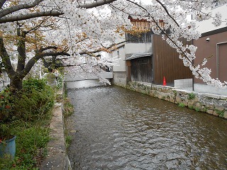 �t�̋_���`�ی��̗��@���͖k�a�Ղ̋߂�