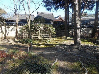 下鴨神社　葵の庭