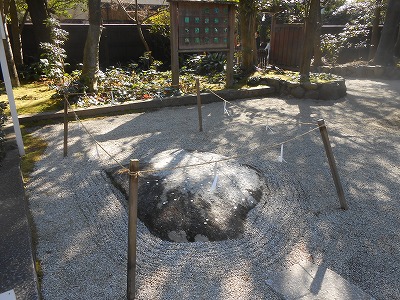 下鴨神社　葵の庭