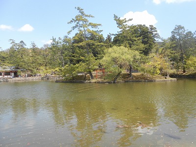東大寺　鏡池