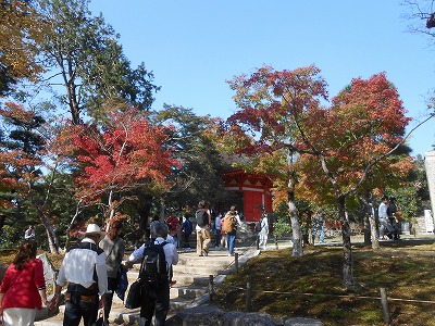東福寺　愛染堂